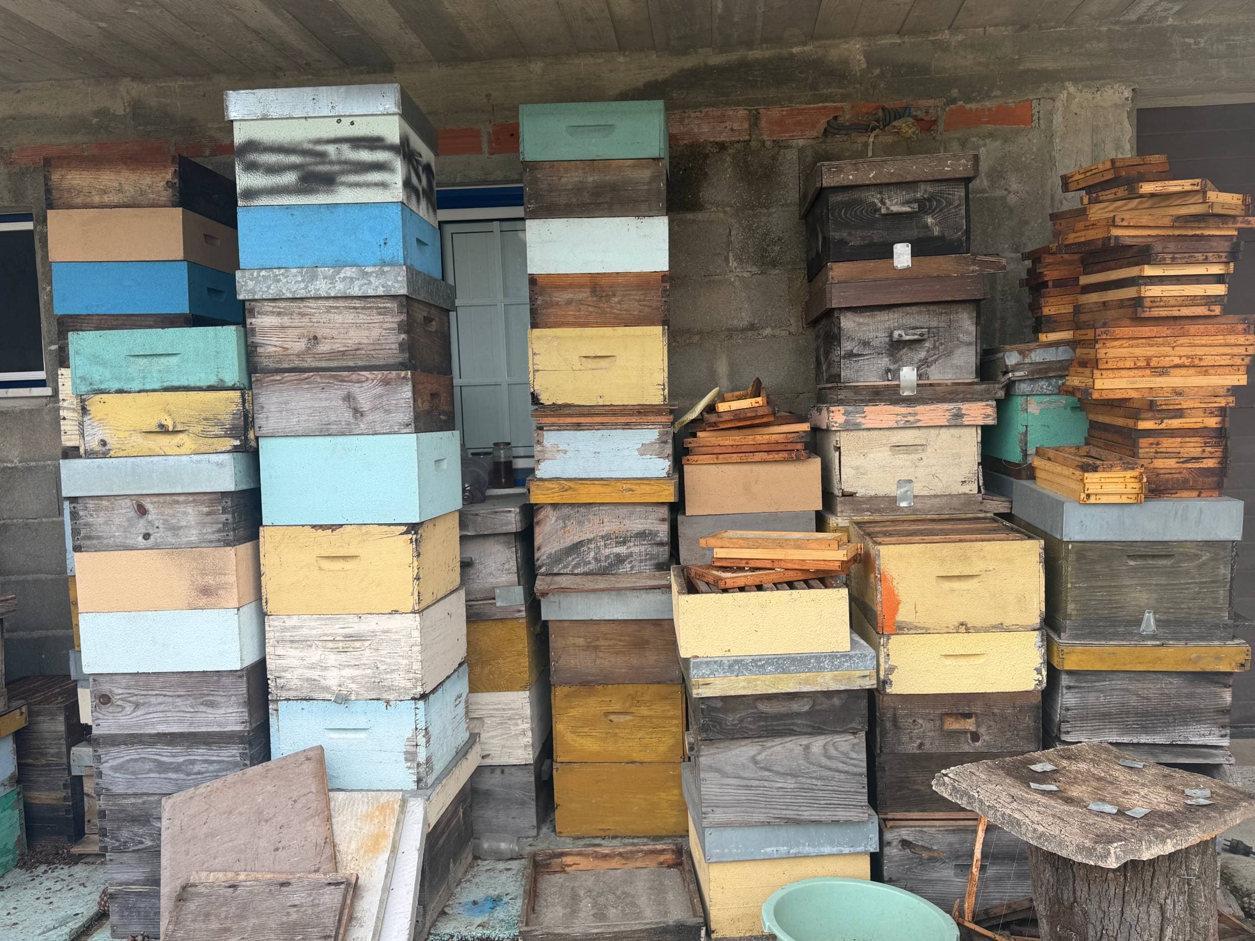 Apiculture